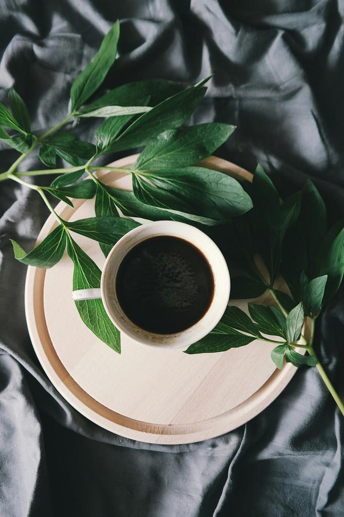 Experience Fresh Roasted Coffee: 6 Reasons to Love Sun Valley and Snake River Blends